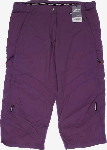 ICEPEAK Pants in XL in Purple: front