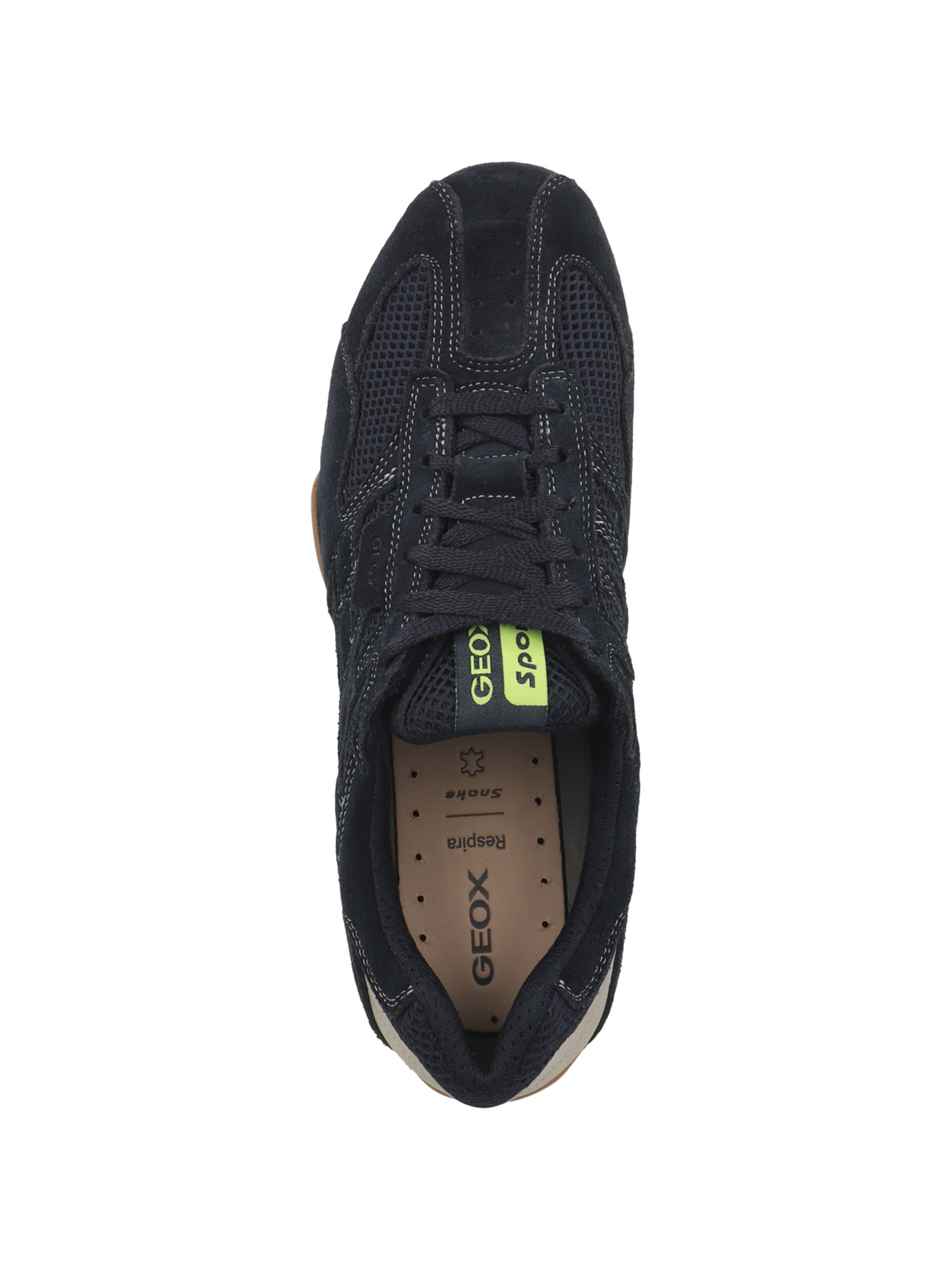 GEOX Sneakers in Blue