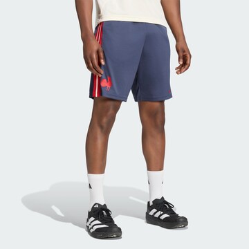 ADIDAS PERFORMANCE Normální Sportovní kalhoty 'Frankreich' – modrá: přední strana