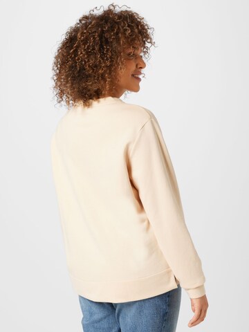 Calvin Klein Curve Sweatshirt in Beige