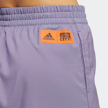 ADIDAS SPORTSWEAR Normalny krój Spodnie sportowe 'Hoop York City Pinned' w kolorze fioletowy