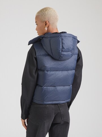 Calvin Klein Jeans Vest 'ESSENTIAL' i blå: tilbage