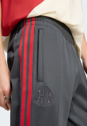 ADIDAS PERFORMANCE - regular Pantalón deportivo 'River Plate 125th Anniversary' en gris
