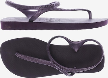 HAVAIANAS Sandals & High-Heeled Sandals in 36,5 in Purple: front