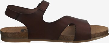 Sandales COSMOS COMFORT en marron