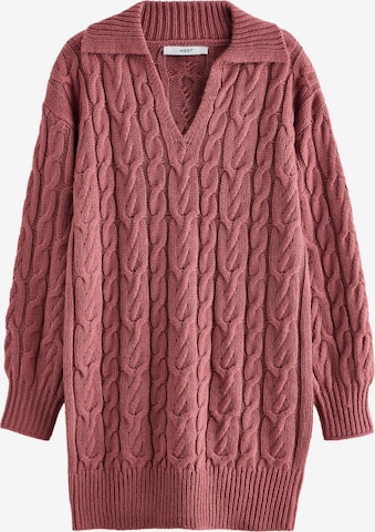 Abito in maglia di Next in rosa: frontale