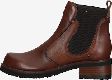 Everybody Chelsea Boots in Braun