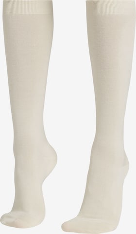 CALZEDONIA Kniestrümpfe in Beige: predná strana