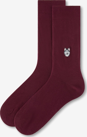 CALZEDONIA Socks in Red: front