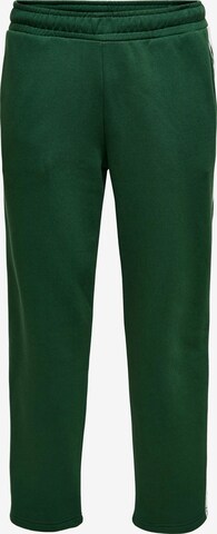 Pantaloni 'ACE' di Only & Sons in verde: frontale