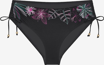TRIUMPH Bikini Bottoms ' Red Label Summer Tropics ' in Black: front