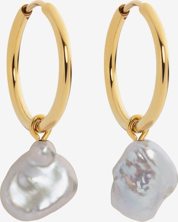 Paul Hewitt Earrings 'Treasures of the Sea' in Gold: front