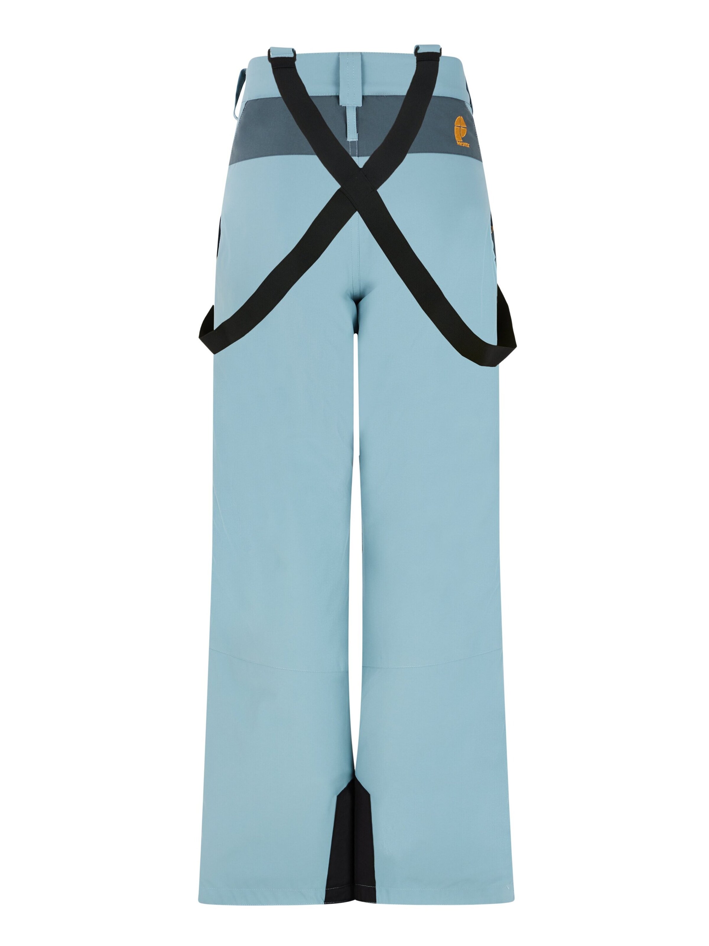 PROTEST Regular Sporthose 'PRTRAIDER JR'‌ in Blau