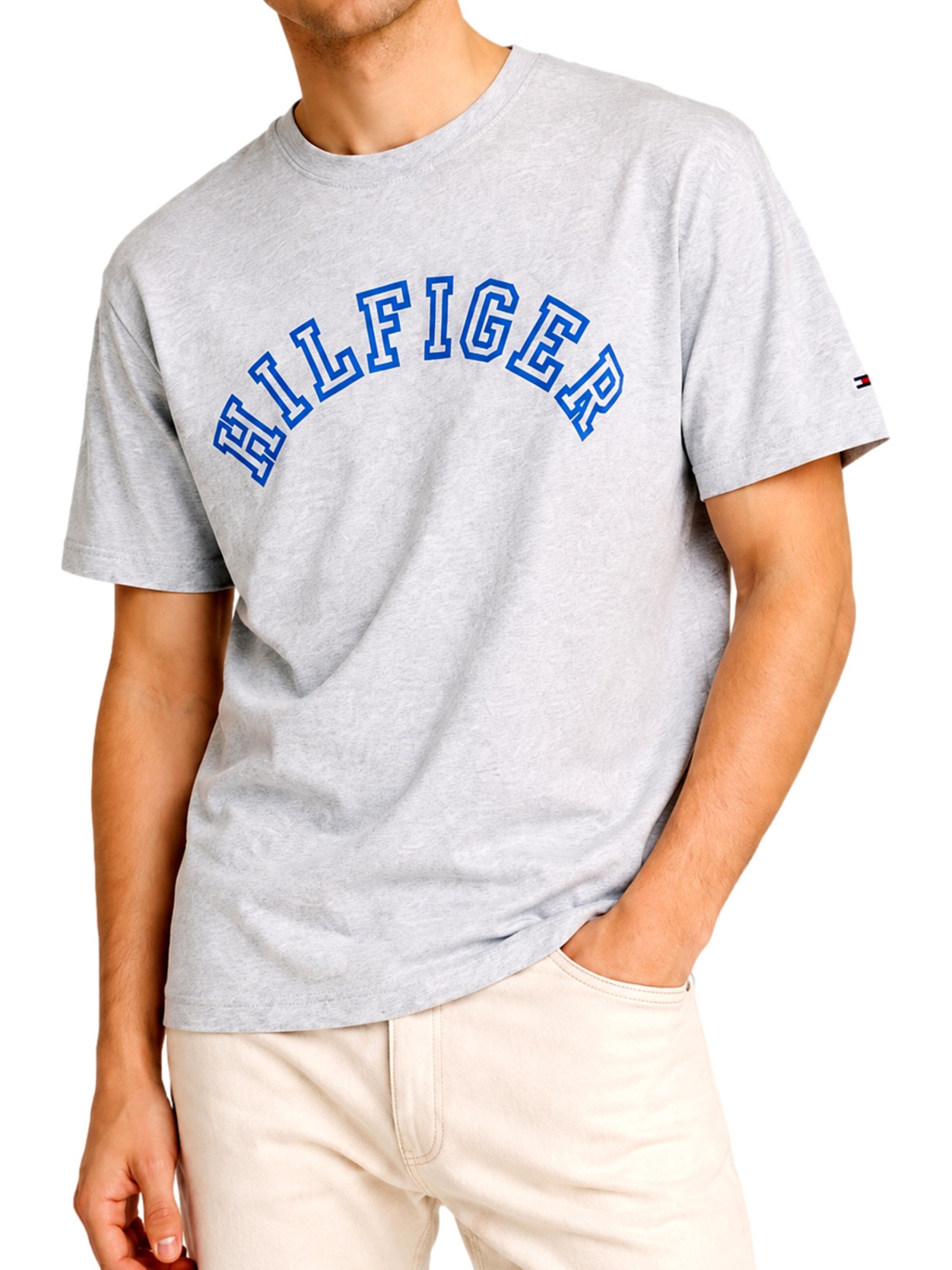 TOMMY HILFIGERMajica - siva boja