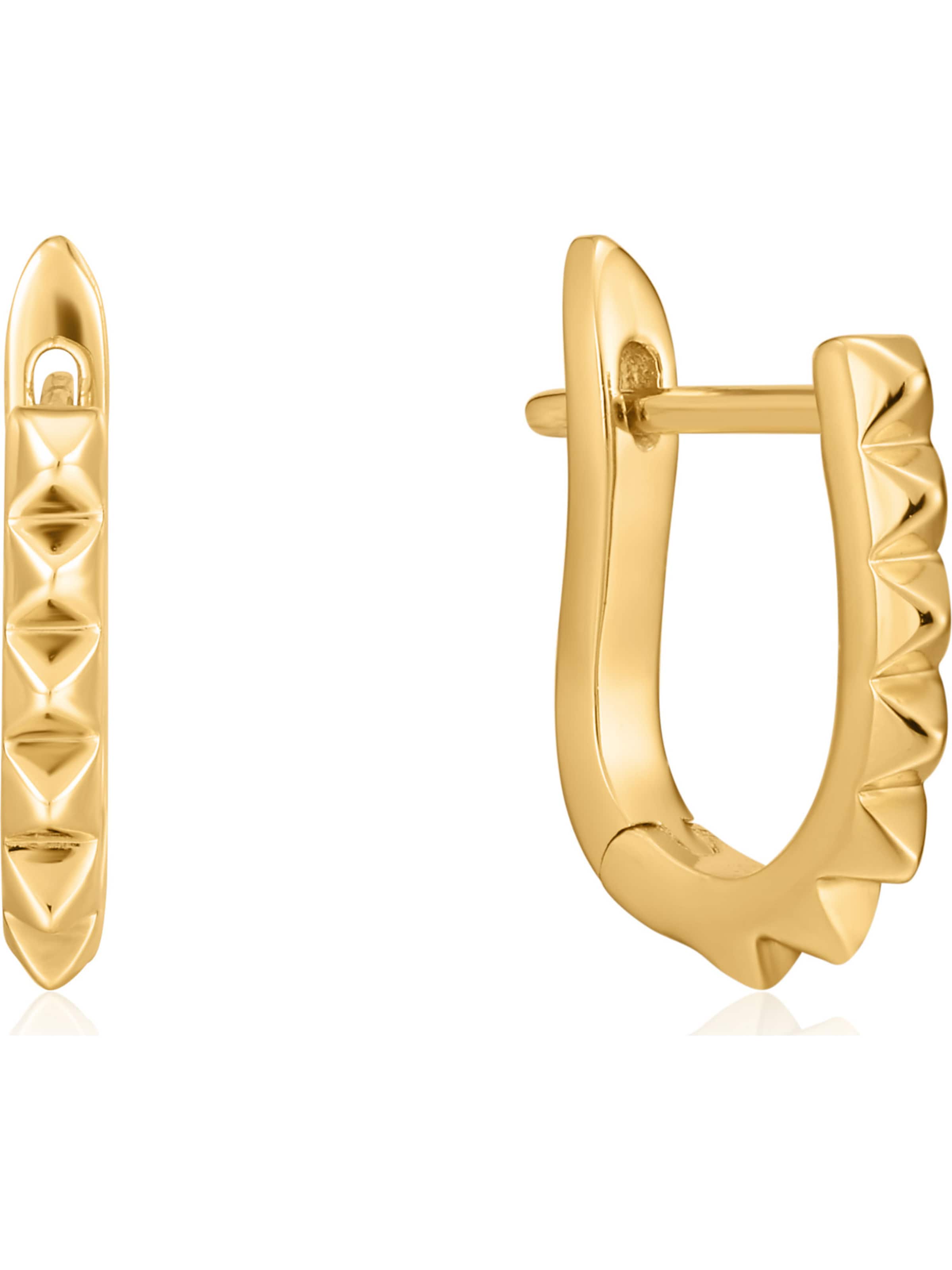 ANIA HAIE Earrings in Gold: front