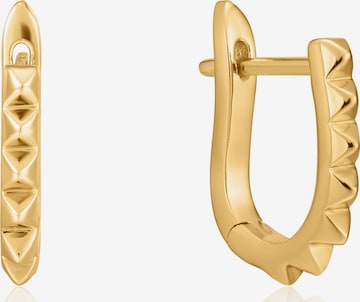 ANIA HAIE Earrings in Gold: front