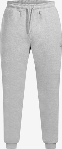 Pantalon de sport Smilodox en gris : devant
