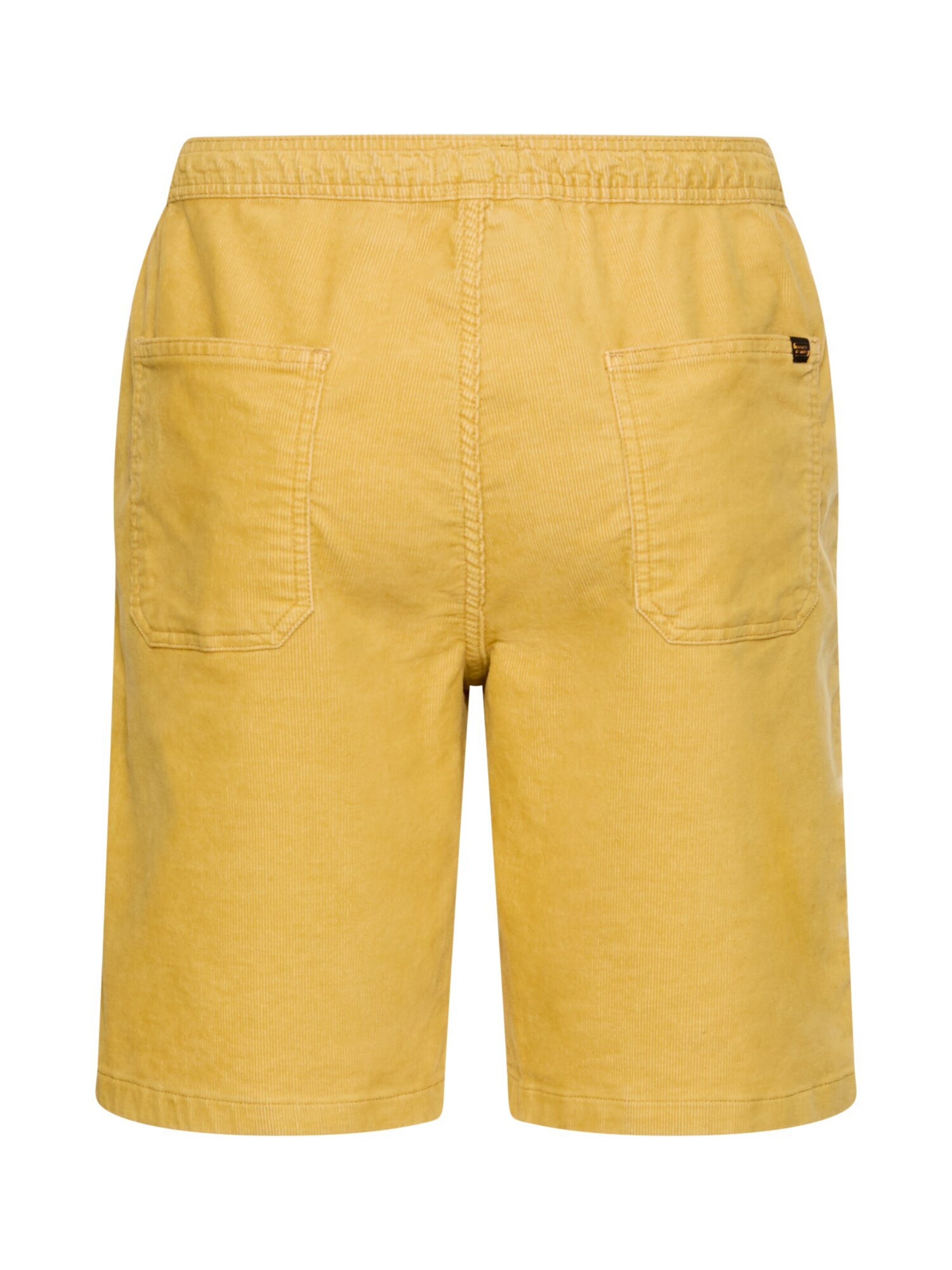 CAMEL ACTIVE Regular Pants in Yellow