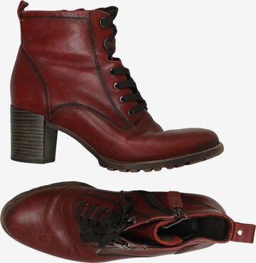 Tamaris Stiefeletten Tamaris Stiefel Bordeaux Rot Tamaris