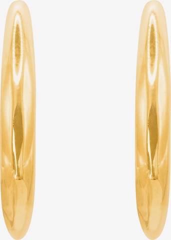 Heideman Earrings 'Agrippa ' in Gold
