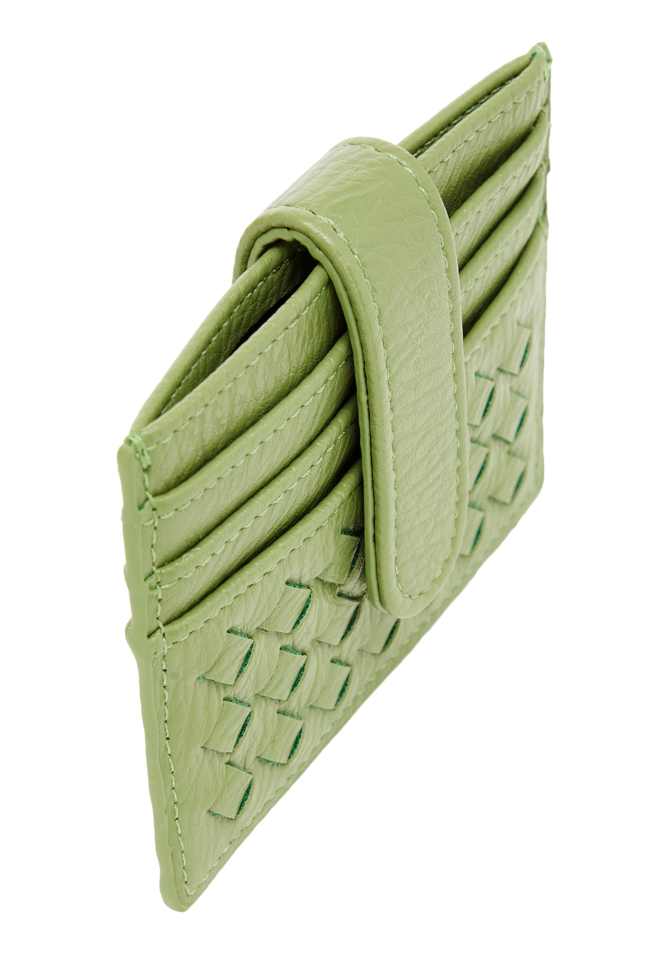 FELIPA Case in Green