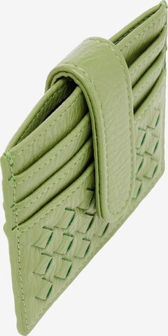 Astuccio di Usha in verde