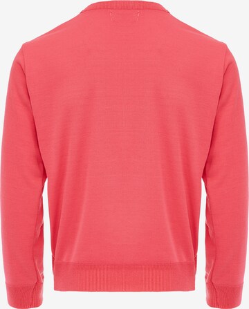 CELOCIA Sweater in Pink