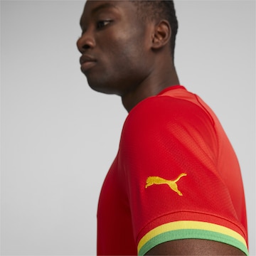 PUMA Tricot 'Ghana 22/23 Replik Auswärts' in Rood