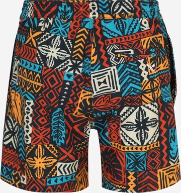 Iriedaily Loosefit Shorts 'Crazy Fresh' in Mischfarben