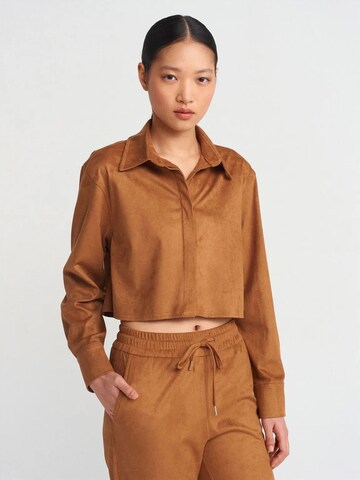 Dilvin Shirt in Brown: front