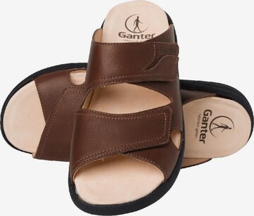 Ganter Mules in Brown