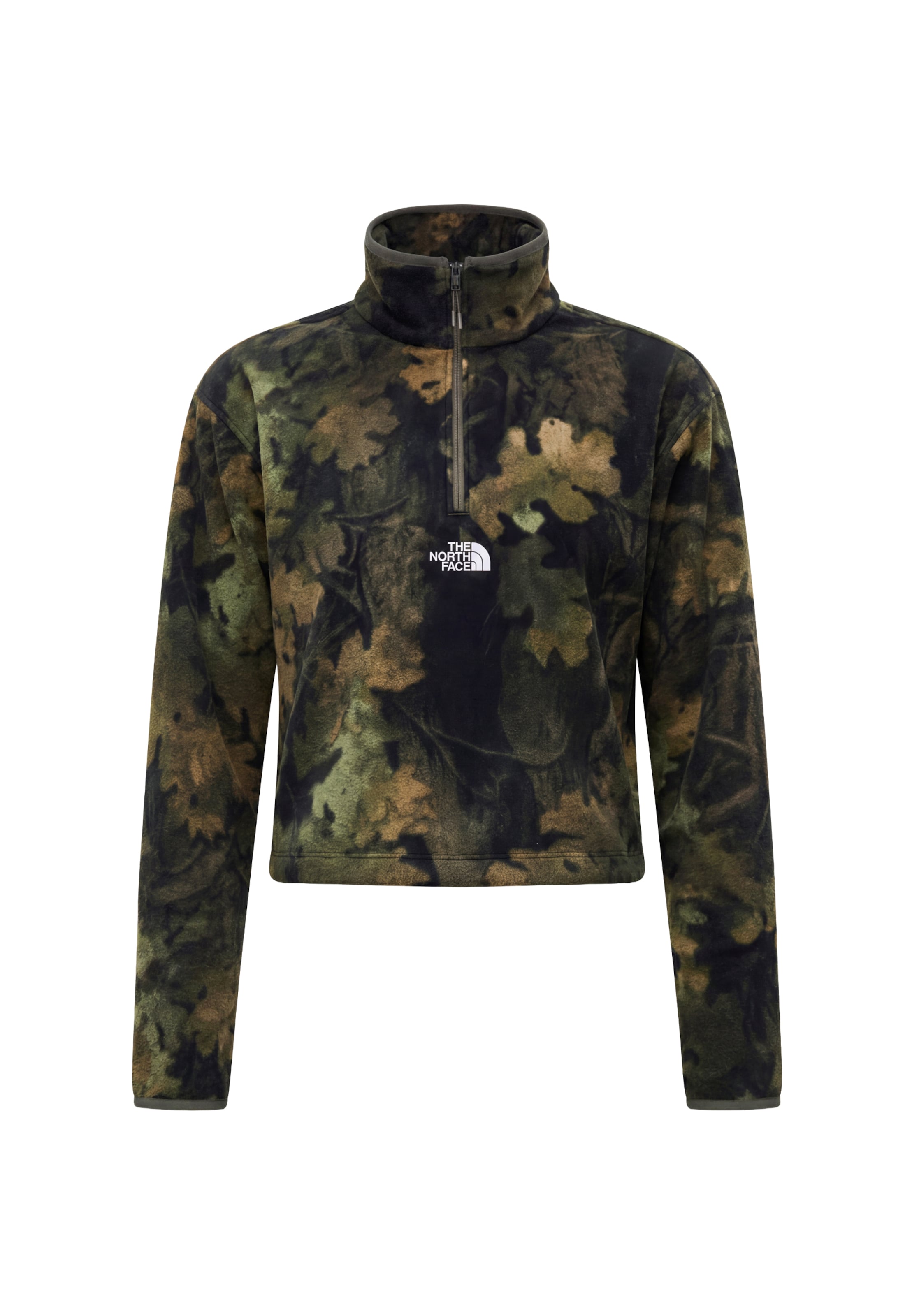 THE NORTH FACE Sportspullover 'NOVELTY GLACIER' i grøn: forside
