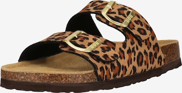 NOU Sandal 'Whitehill V2' in Brown: front