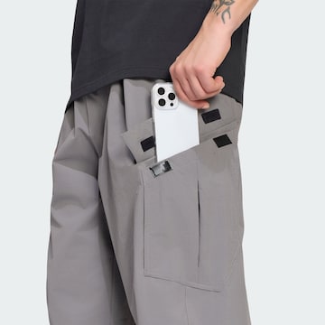 Effilé Pantalon outdoor 'Xploric' ADIDAS TERREX en gris