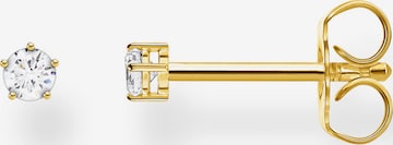 Thomas Sabo Ohrstecker in Gold: predná strana