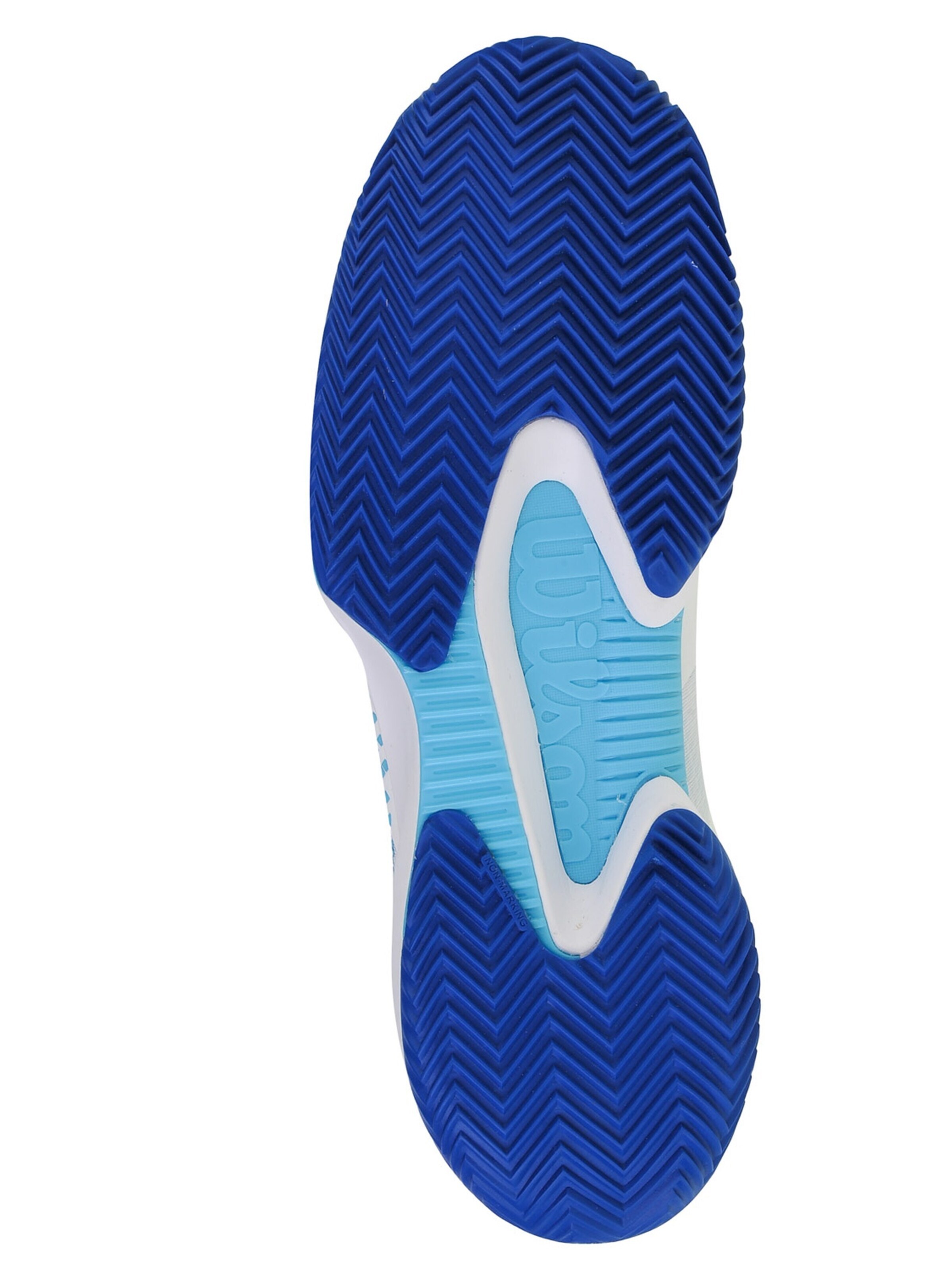 WILSON Sports shoe 'Wilson Kaos Swift 1.5 Clay' in White