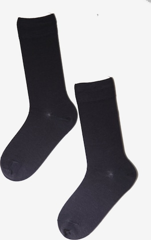 Sokisahtel Ponožky ''HANS dark blue merino socks for men'' – modrá: přední strana