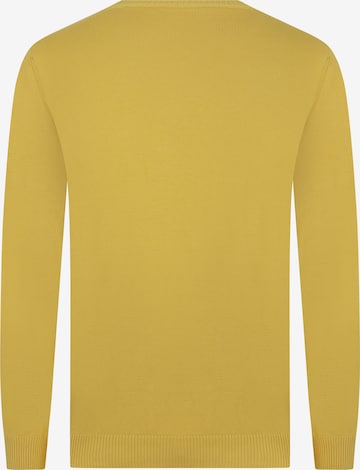 DENIM CULTURE Pullover in Gelb