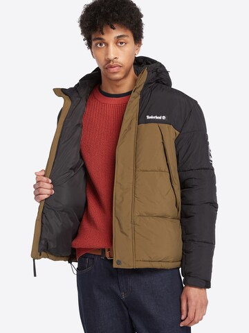 Veste mi-saison TIMBERLAND en vert