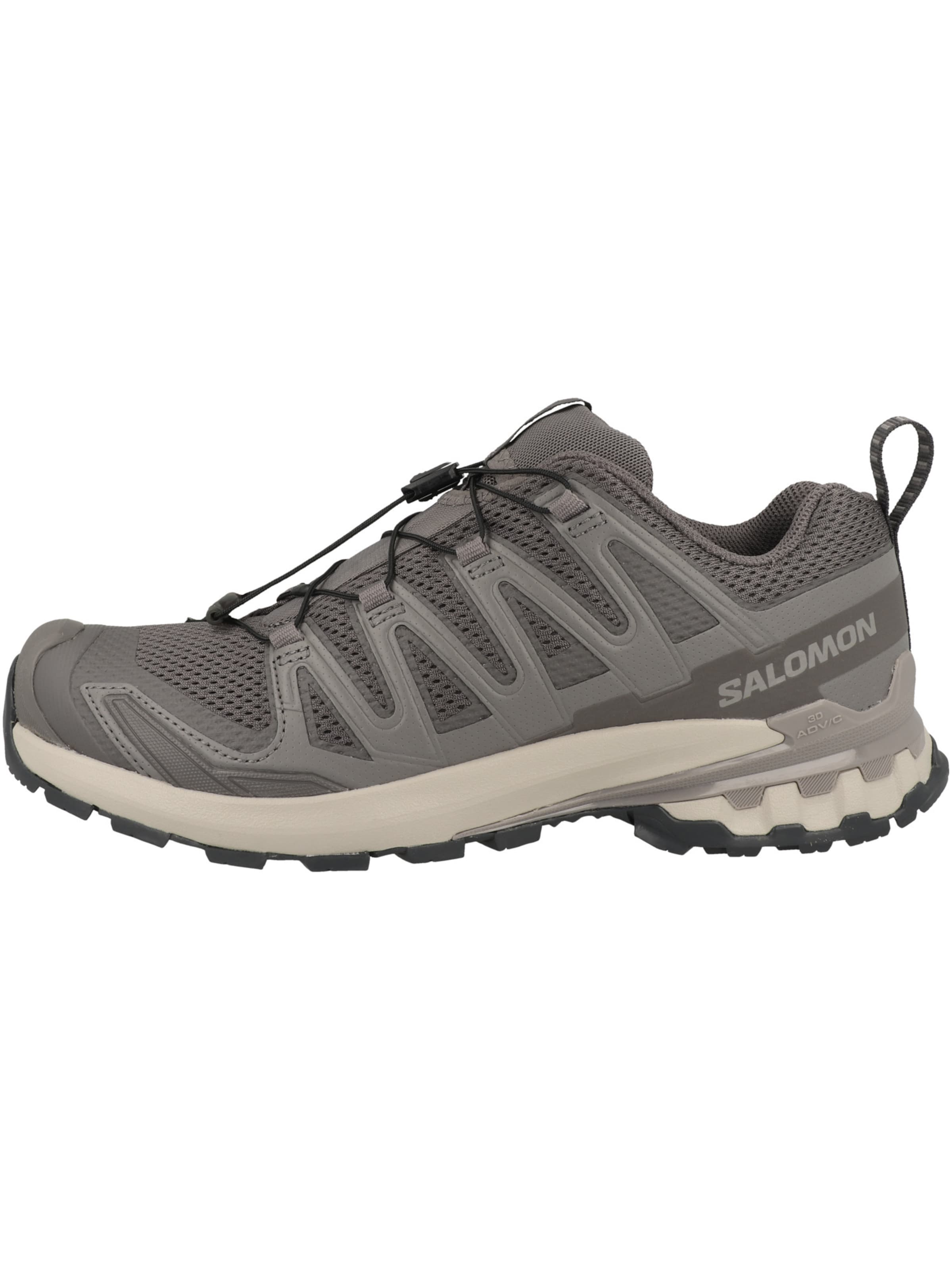 SALOMON Laufschuh 'XA Pro 3D V9' in Grau