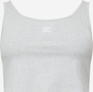 ADIDAS ORIGINALS Top in Grau: predná strana