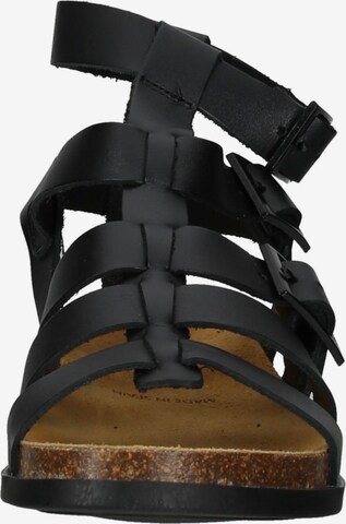 Kickers Strap Sandals in Black