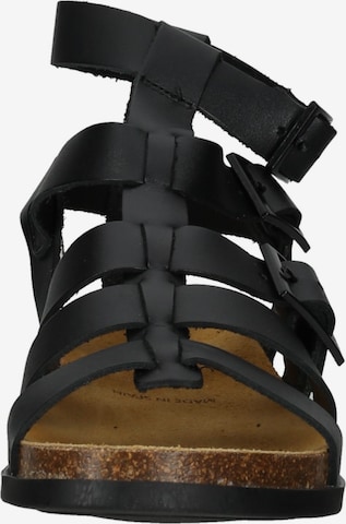 Kickers Sandalen met riem in Zwart