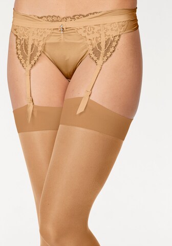 LASCANA Hold-up stockings in Brown