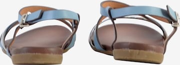 The Divine Factory - Sandalias en azul