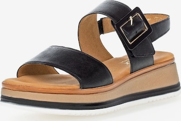 GABOR Strap Sandals in Black: front