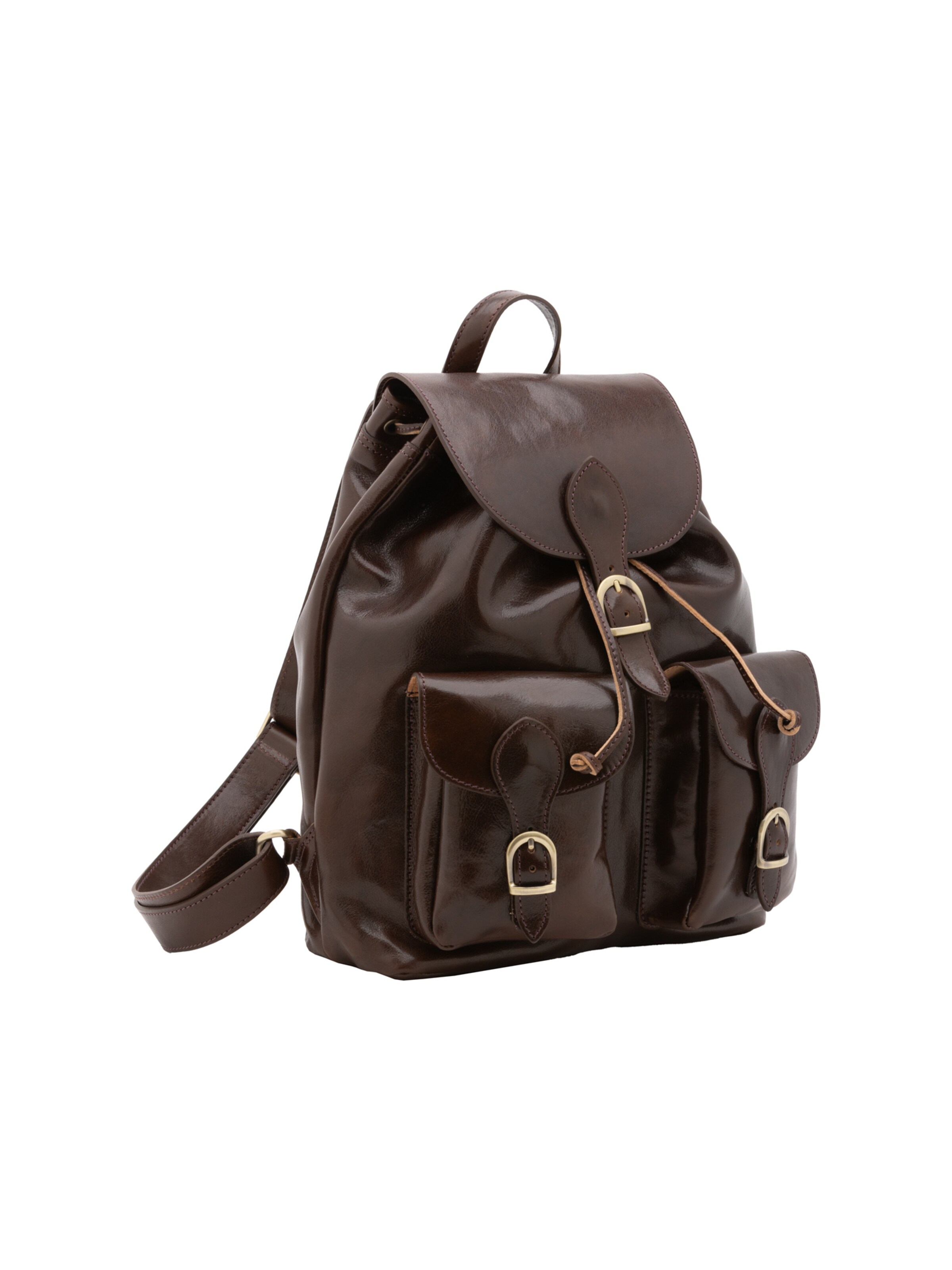 Viola Castellani Backpack in Brown: front