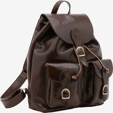 Viola Castellani Backpack in Brown: front