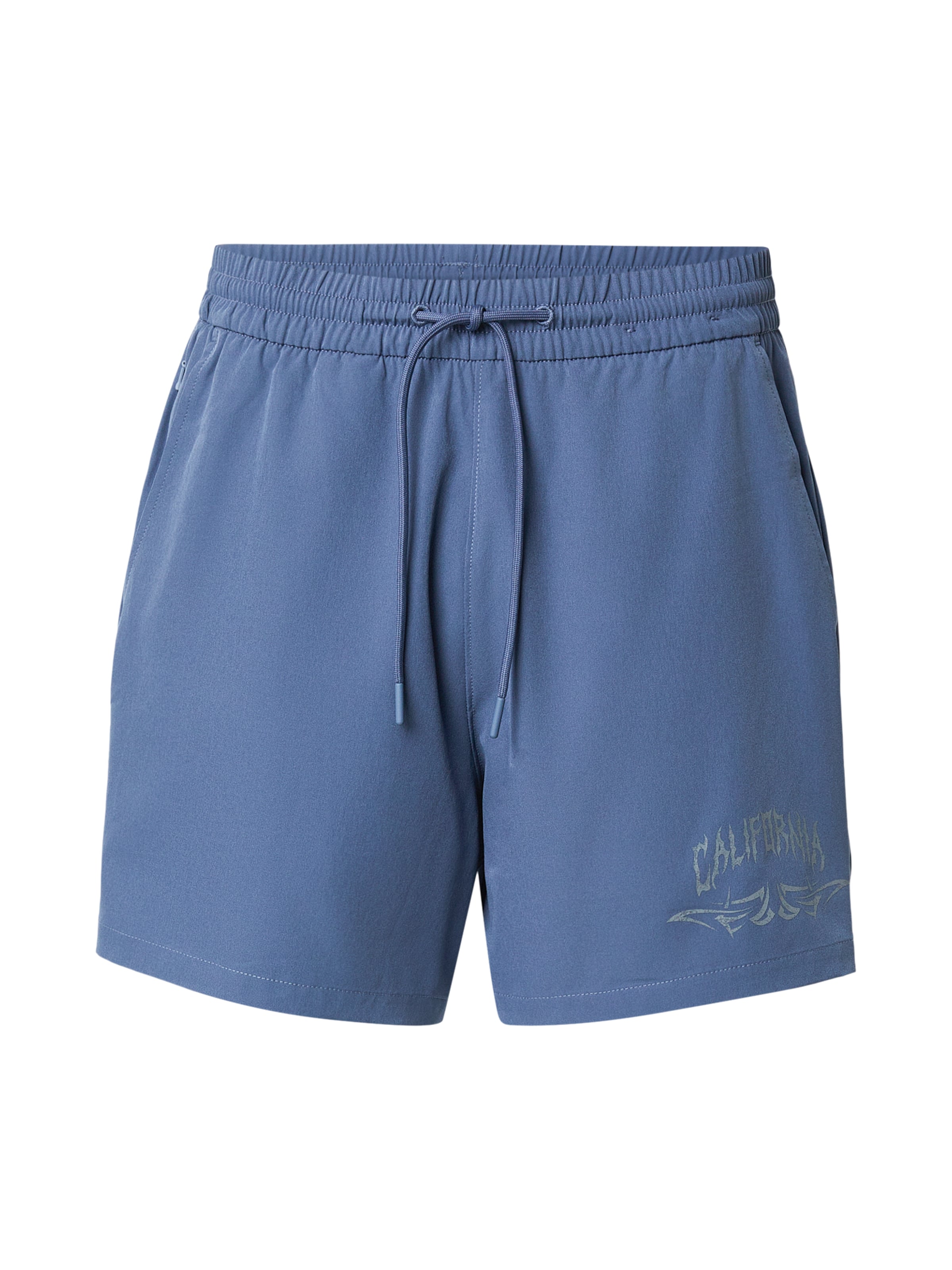 HOLLISTER Обычный Штаны в Синий: спереди