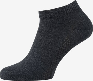 Nur Der Ankle Socks in Grey